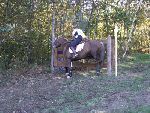 Photo albulle/datas/photos/TREC NATIONAL octobre2007/barriere-cheval.jpg