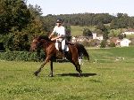 Photo albulle/datas/photos/TREC NATIONAL octobre2007/galop.jpg