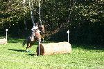 Photo albulle/datas/photos/TREC NATIONAL octobre2007/kentucky-combinaison3.jpg