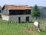Photo albulle/datas/photos/Environnement du Centre Cheval Poney/structure2.JPG