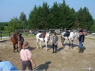 Présentation des chevaux avant le départ pour le parcours d'orientation du TREC